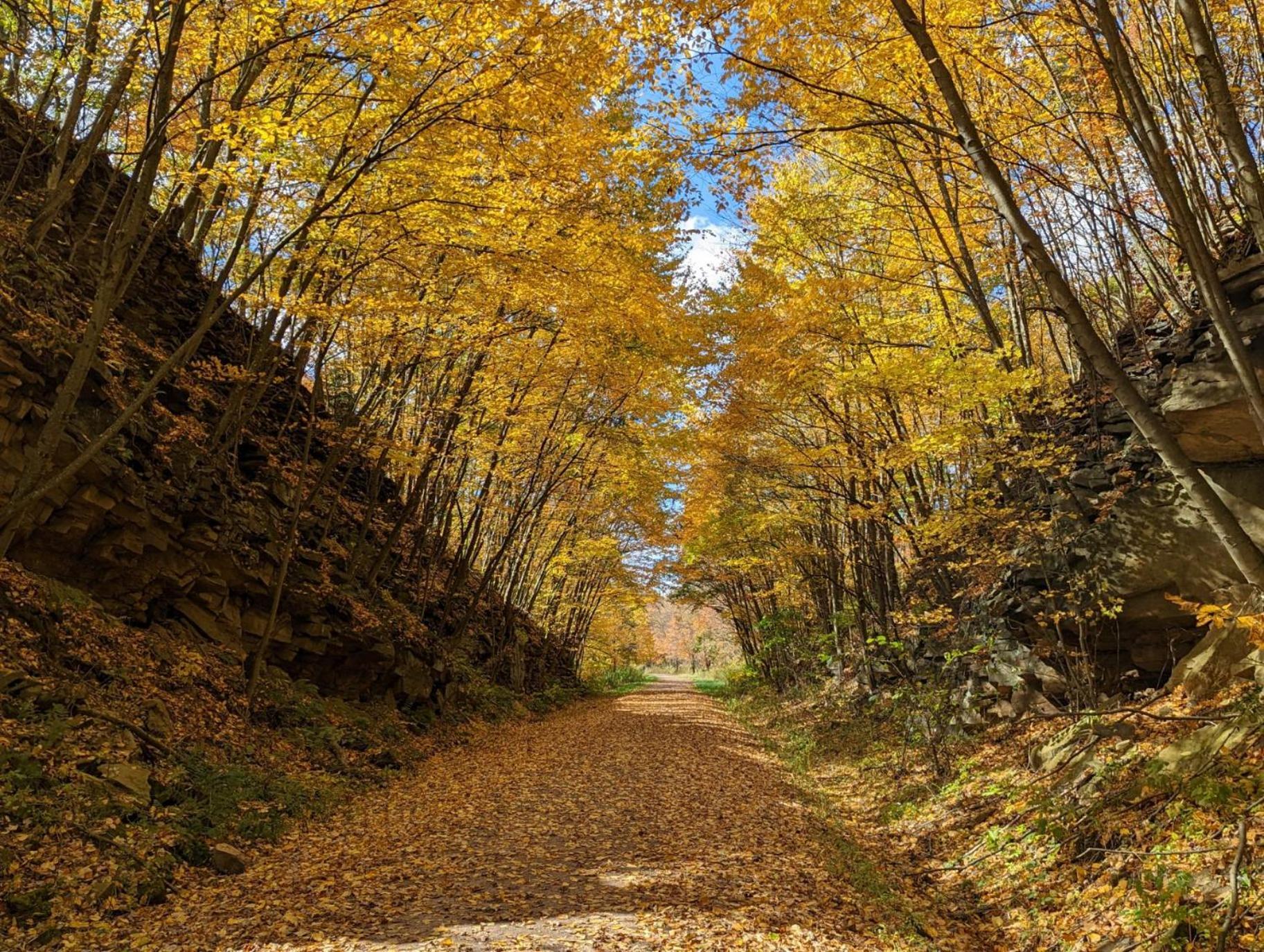 Stay In Ohiopyle Near Everything Including The Trail, Ohiopyle Pa Farmington المظهر الخارجي الصورة